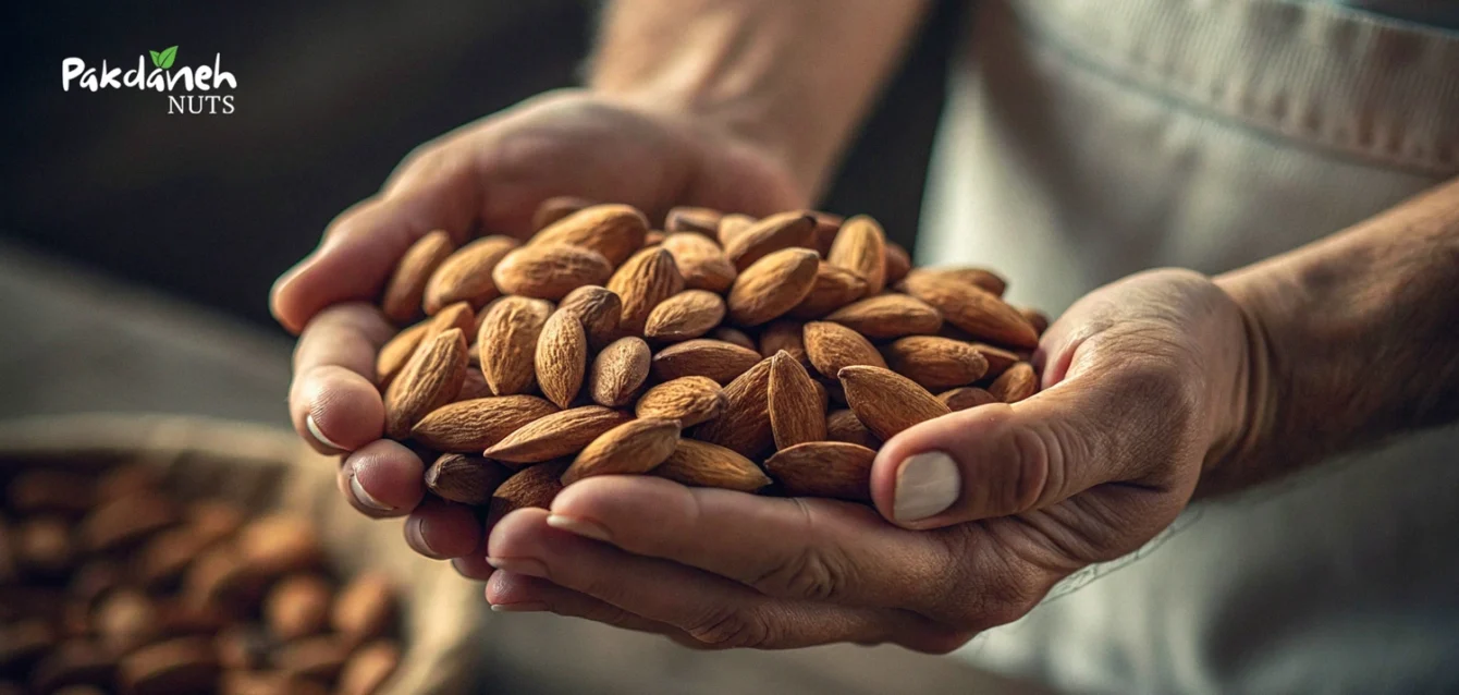 طبع بادام درختی چیه